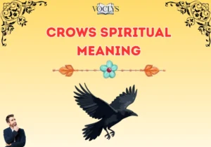 Crows Spiritual Meaning