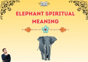 Elephant Spiritual Meaning
