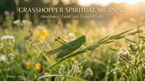 Grasshopper Spiritual Meaning