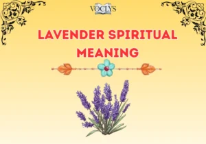 Lavender Spiritual Meaning