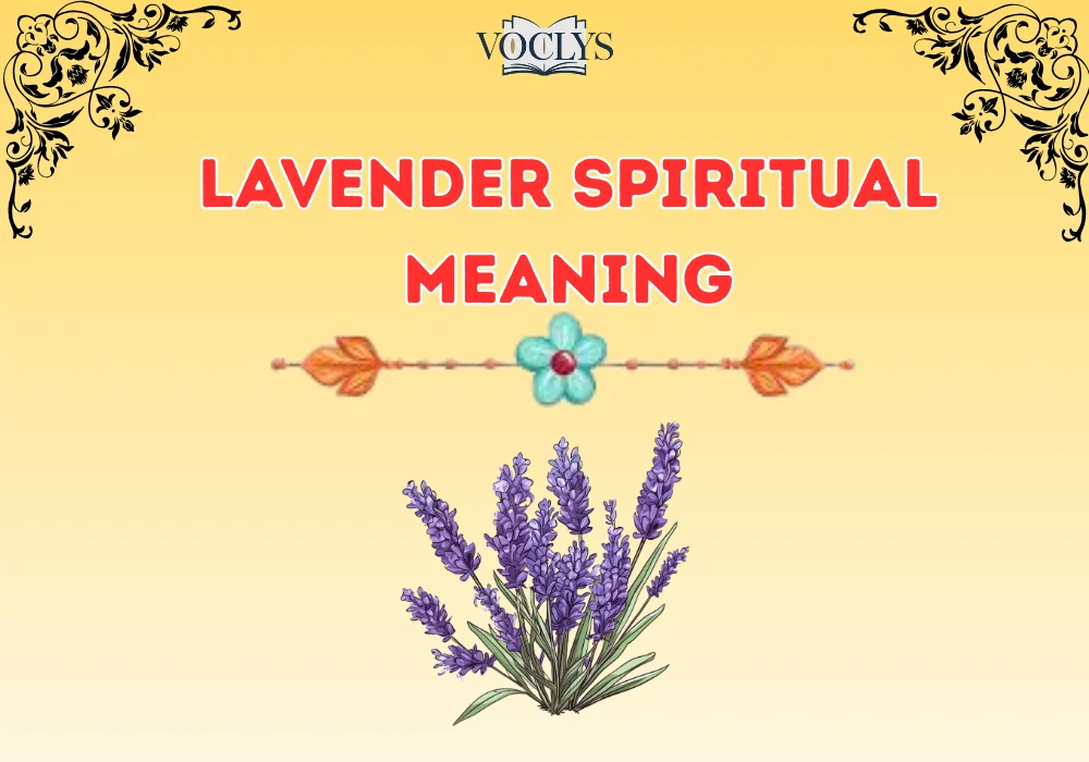 Lavender Spiritual Meaning
