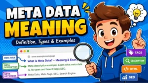 Meta Data Meaning