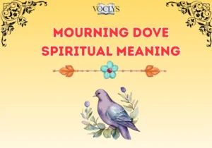 Mourning Dove Spiritual Meaning