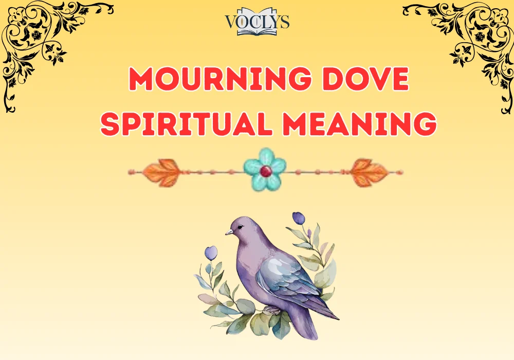 Mourning Dove Spiritual Meaning