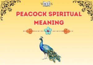 Peacock Spiritual Meaning