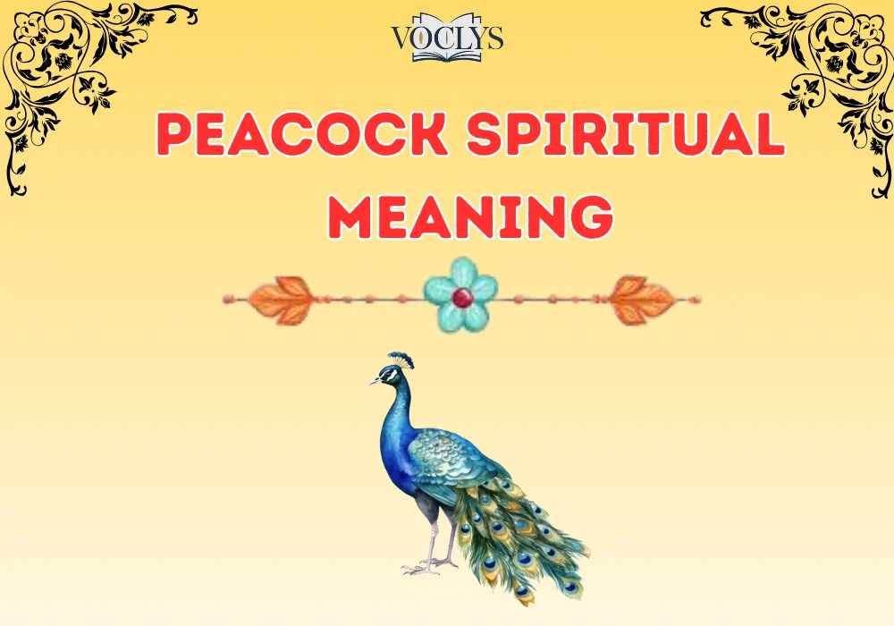 Peacock Spiritual Meaning