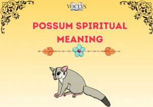 Possum Spiritual Meaning