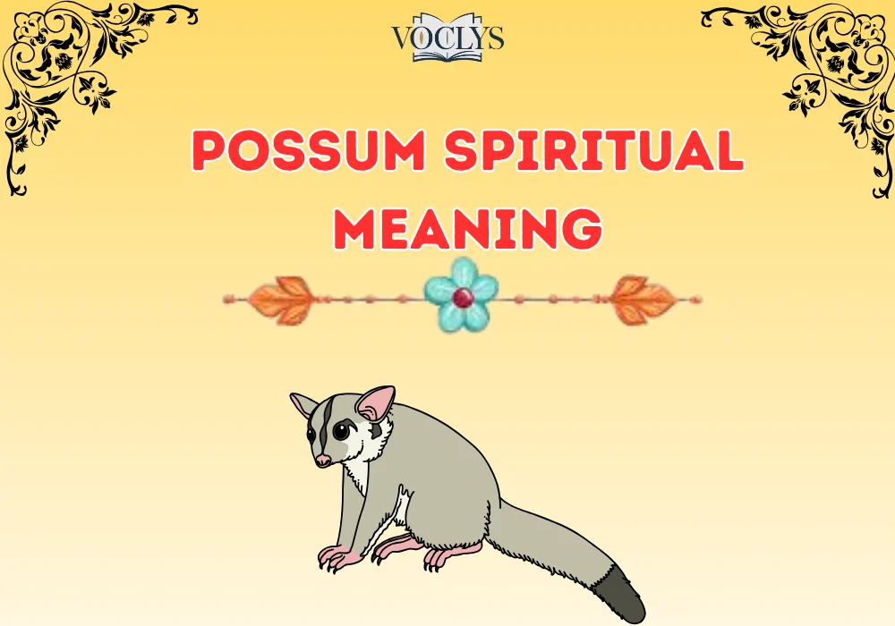 Possum Spiritual Meaning
