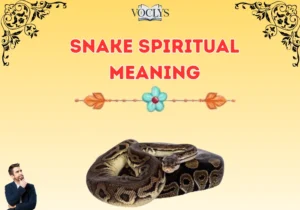 Snake Spiritual Meaning