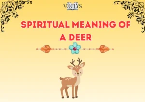Spiritual Meaning Of A Deer