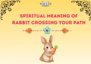 Spiritual Meaning Of Rabbit Crossing Your Path