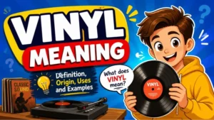 Vinyl Meaning