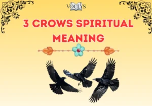 3 Crows Spiritual Meaning