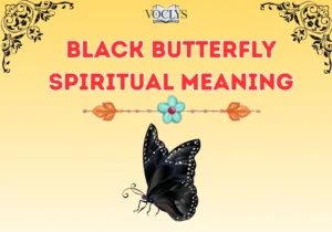 Black Butterfly Spiritual Meaning