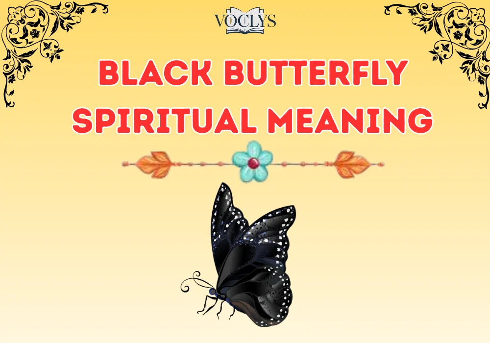 Black Butterfly Spiritual Meaning