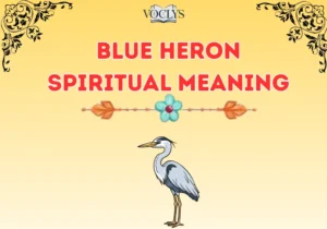 Blue Heron Spiritual Meaning