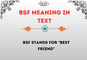Bsf Meaning In Text