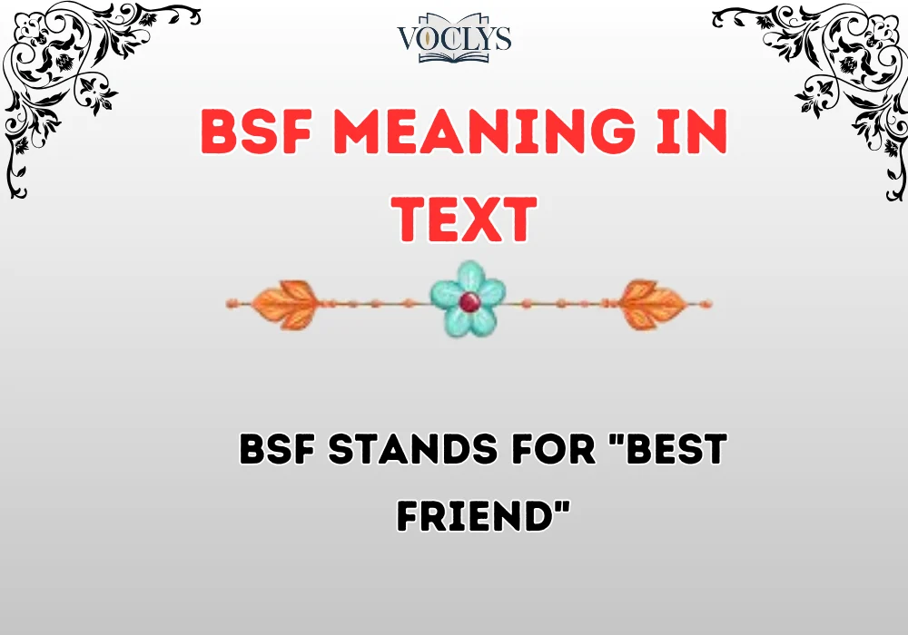 Bsf Meaning In Text