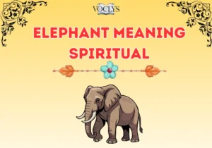 Elephant Meaning Spiritual