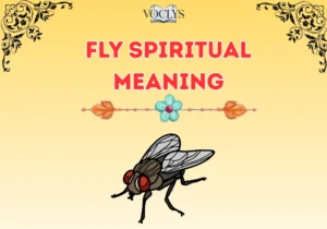 Fly Spiritual Meaning