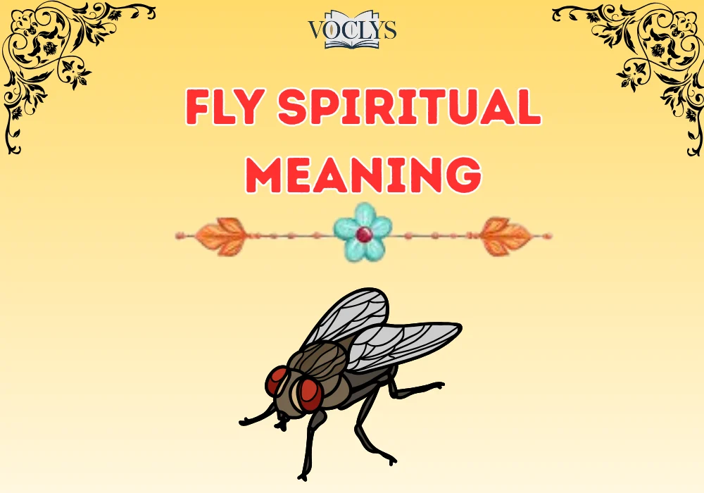 Fly Spiritual Meaning