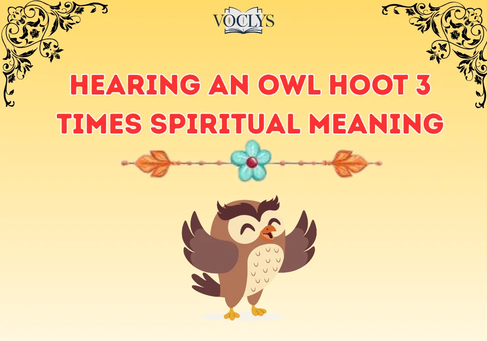 Hearing An Owl Hoot 3 Times Spiritual Meaning