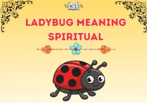 Ladybug Meaning Spiritual