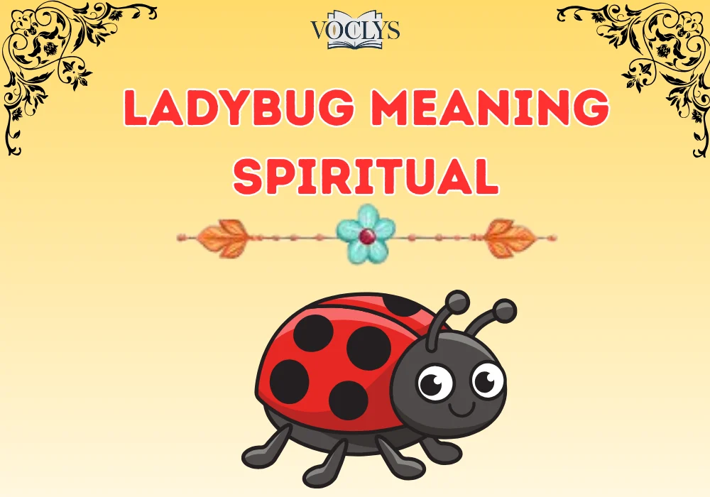 Ladybug Meaning Spiritual
