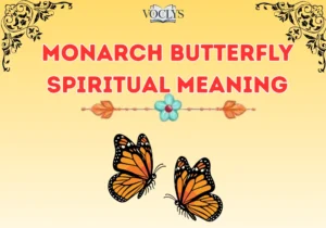Monarch Butterfly Spiritual Meaning