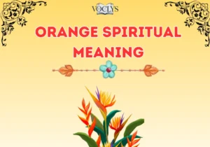 Orange Spiritual Meaning