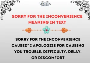 Sorry For The Inconvenience Meaning In Text
