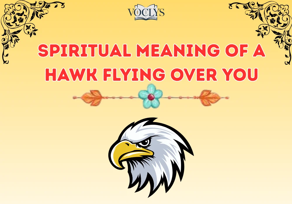 Spiritual Meaning Of A Hawk Flying Over You