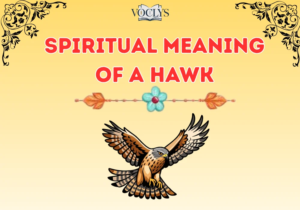 Spiritual Meaning of a Hawk