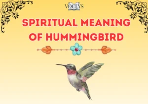 Spiritual Meaning Of Hummingbird