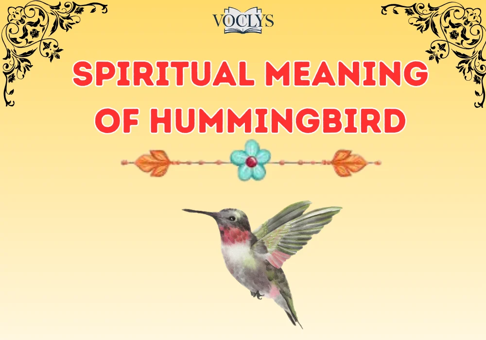 Spiritual Meaning Of Hummingbird