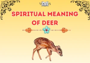 Spiritual Meaning Of Deer