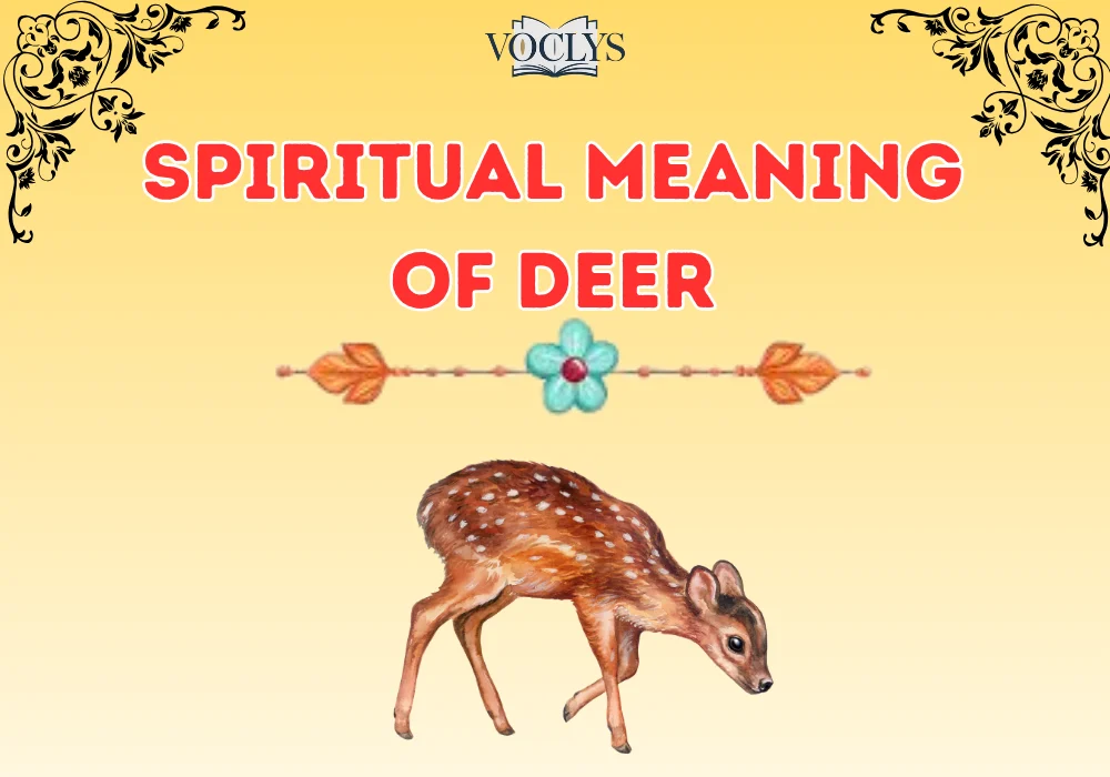 Spiritual Meaning Of Deer