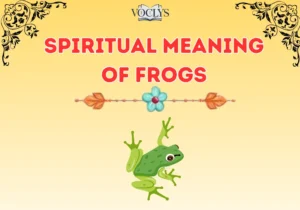Spiritual Meaning Of Frogs