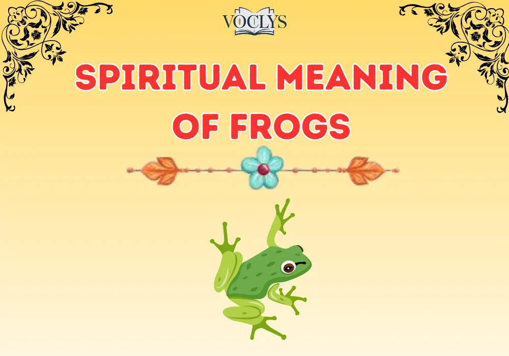 Spiritual Meaning Of Frogs