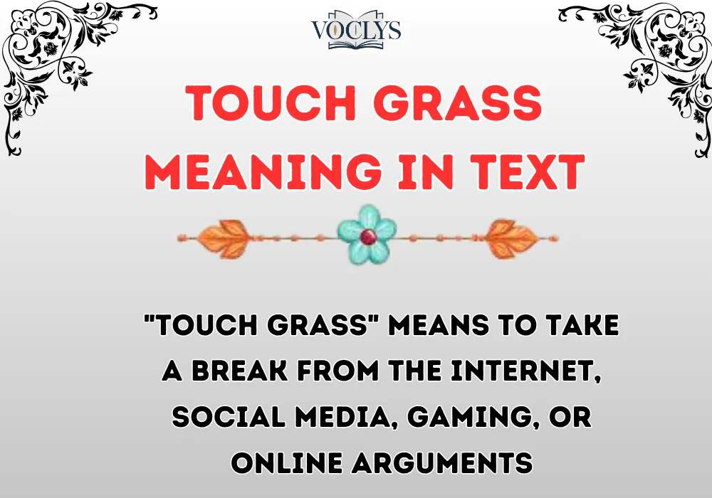 Touch Grass Meaning In Text