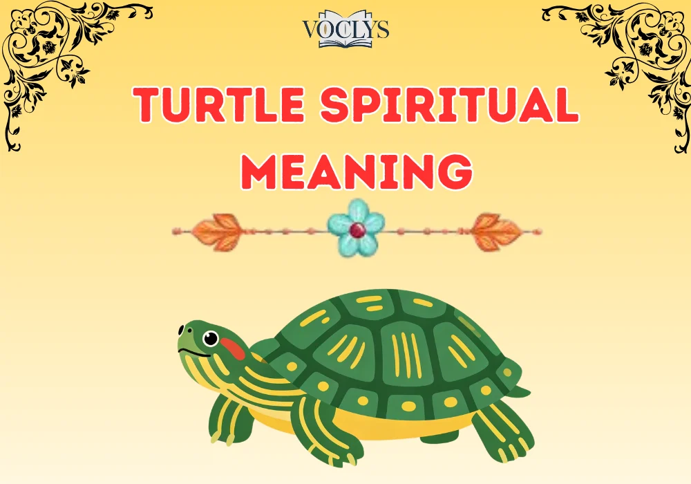 Turtle Spiritual Meaning