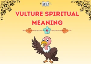 Vulture Spiritual Meaning